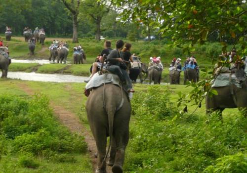 Chitwan National Park